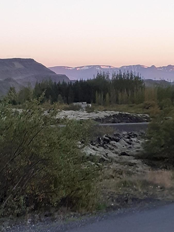 Bifroest Bifrost المظهر الخارجي الصورة