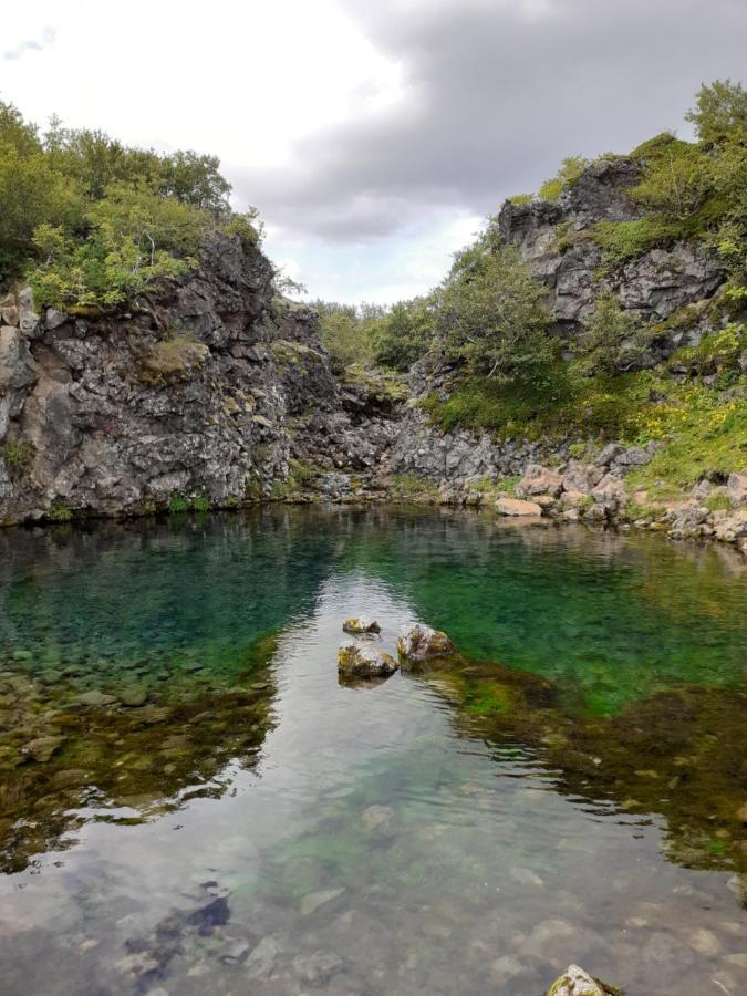Bifroest Bifrost المظهر الخارجي الصورة