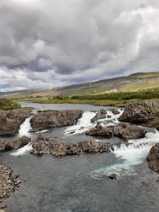 Bifroest Bifrost المظهر الخارجي الصورة